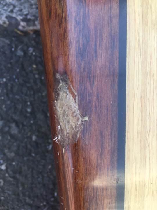 【手渡しのみ】中古ロングボード 10フィート