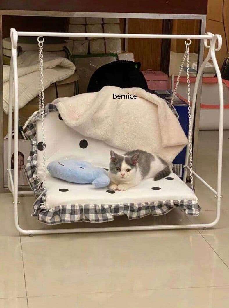 ングチェア用の小型犬や猫グッズのぬいぐるみを解体することができる4