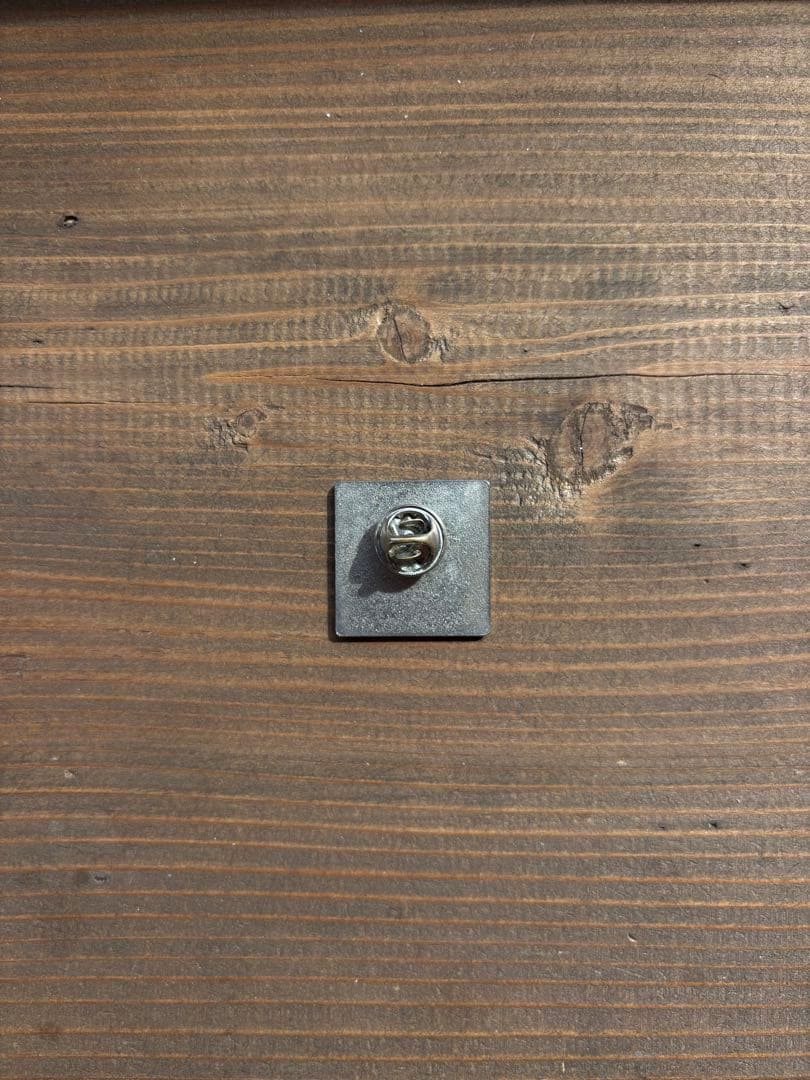 大阪•関西万博 イギリスパビリオン　ウェールズピンバッジ　非売品