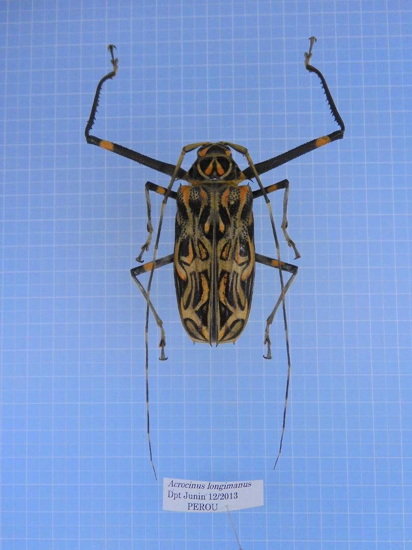 オモニリュック様 リクエスト 4点 まとめ商品