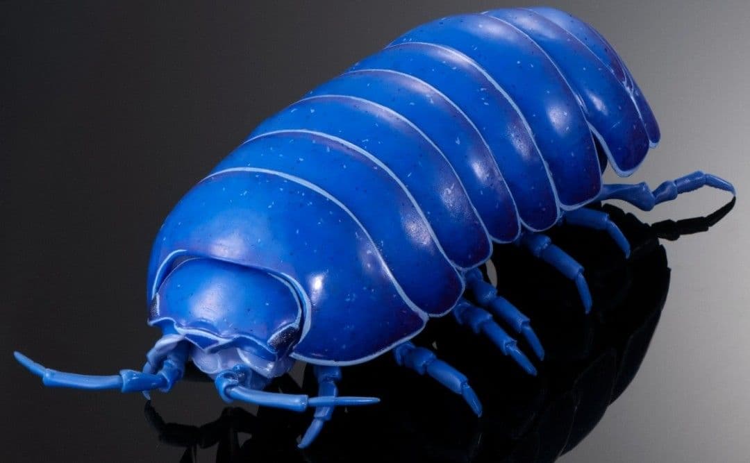 オンライン限定 いきもの大図鑑 ダンゴムシ（重塗装版） 全3種 コンプセット