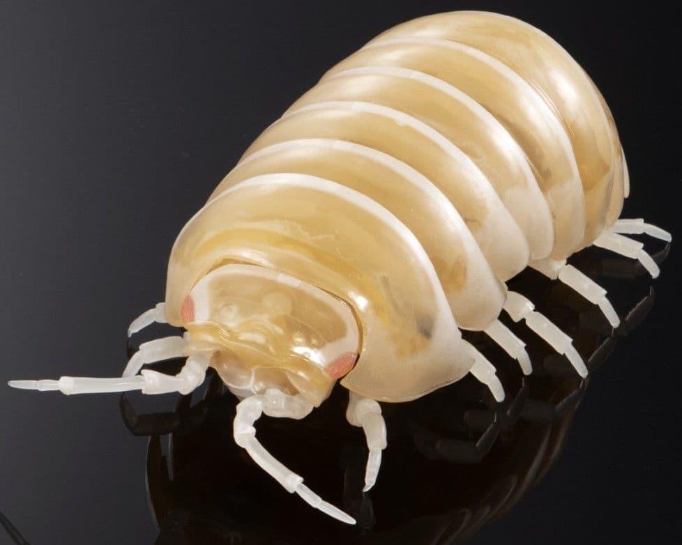 オンライン限定 いきもの大図鑑 ダンゴムシ（重塗装版） 全3種 コンプセット