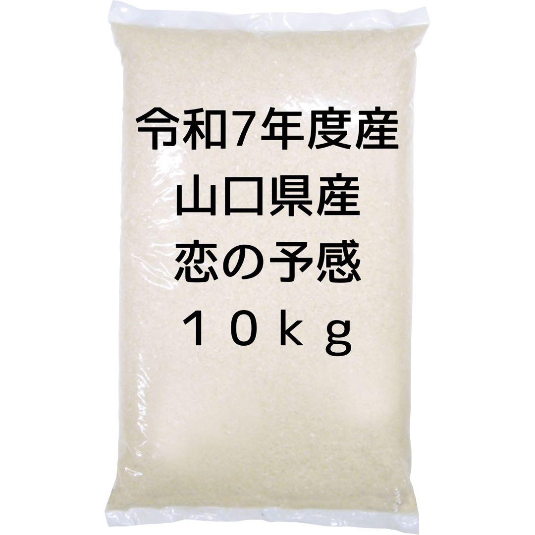 令和7年度産　山口県産（新米）10kg 恋の予感　白米/玄米　農家直送　送料無料