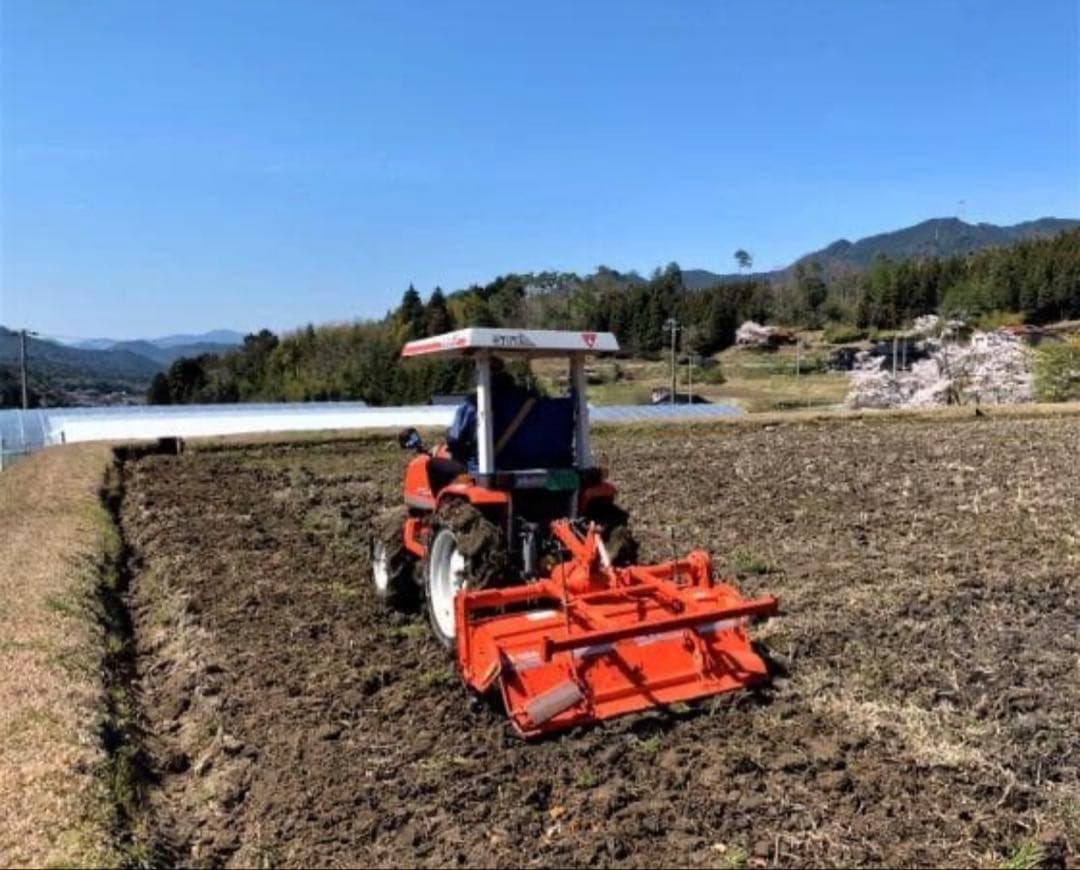 令和7年度産　山口県産（新米）10kg 恋の予感　白米/玄米　農家直送　送料無料