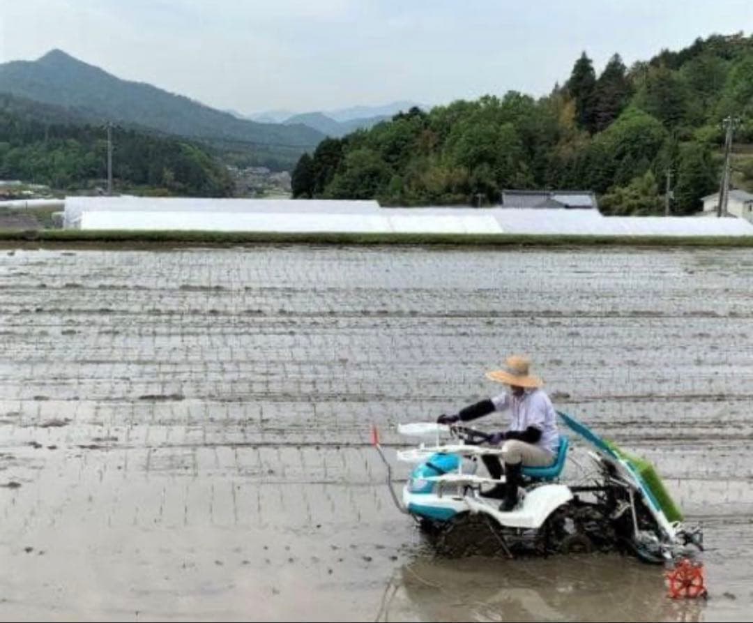 令和7年度産　山口県産（新米）10kg 恋の予感　白米/玄米　農家直送　送料無料