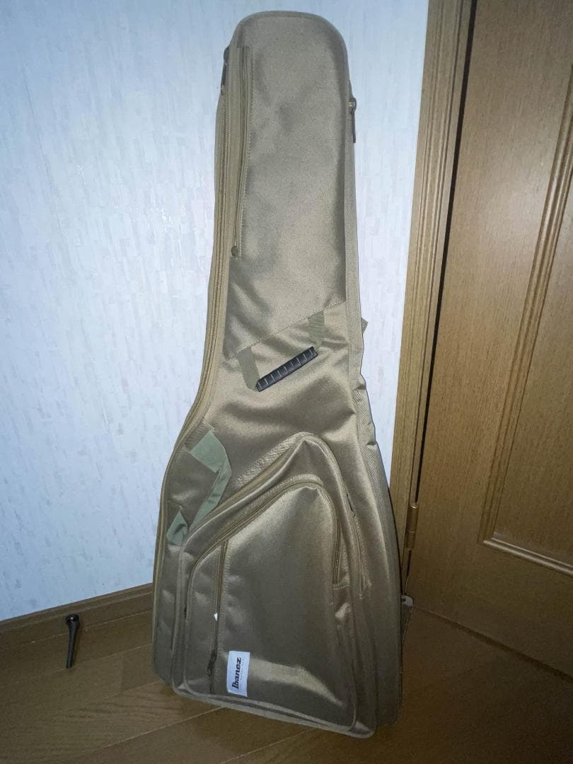 Ibanez PGM80P-NT　ポール・ギルバート　シグネチャー　エレキギター