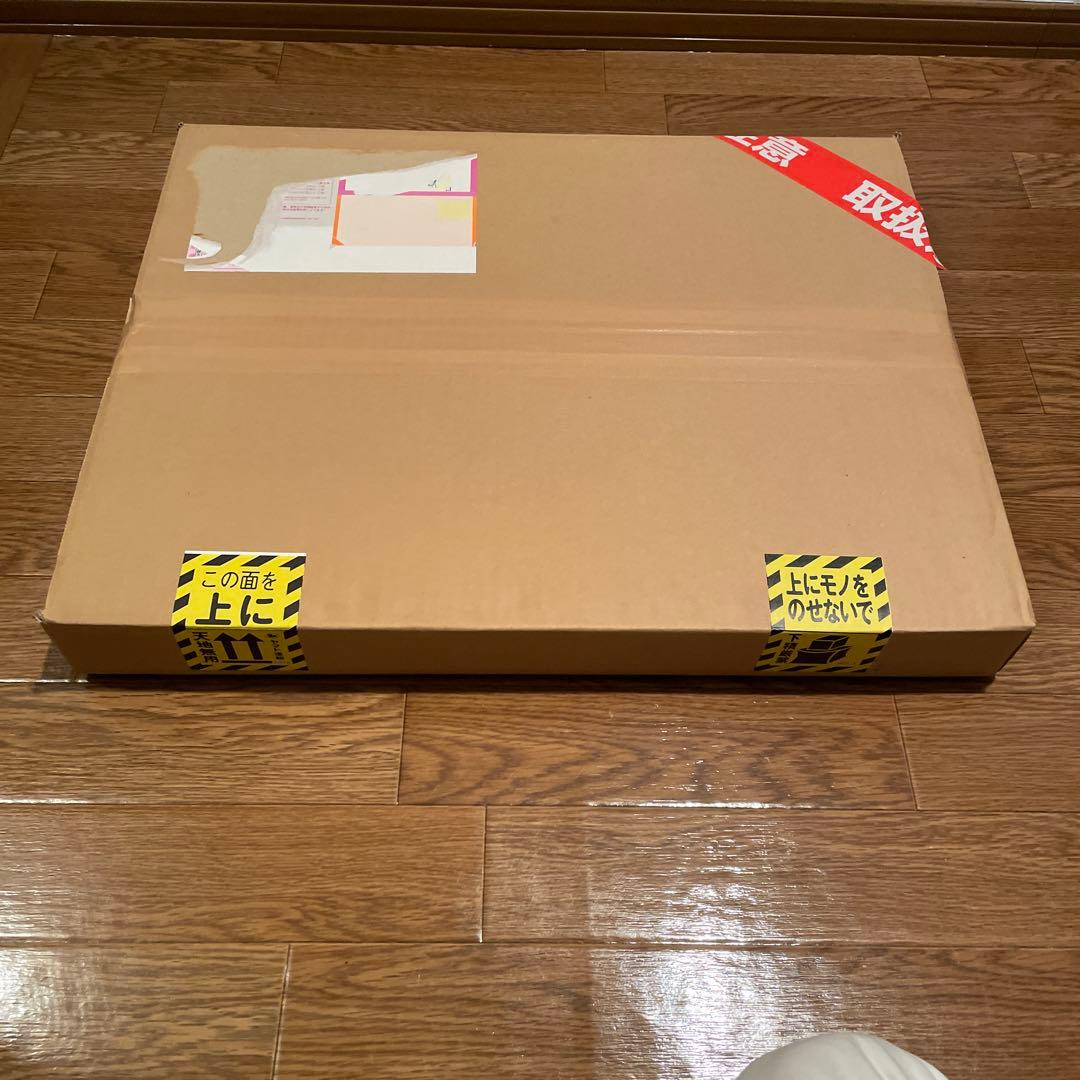 高橋ひかる　サイン入り写真パネル