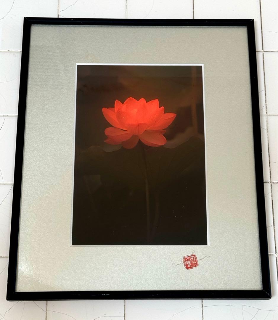 東風終（岩峰啓一）作品『蓮の花／Lotus flower』