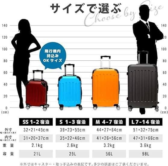 GACKT キャリーバッグ