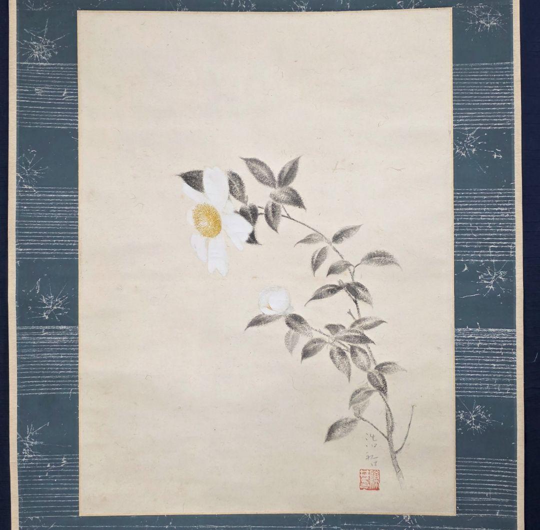【白山茶花図】藤井浩裕 2721 彫刻家 共箱 掛け軸 肉筆