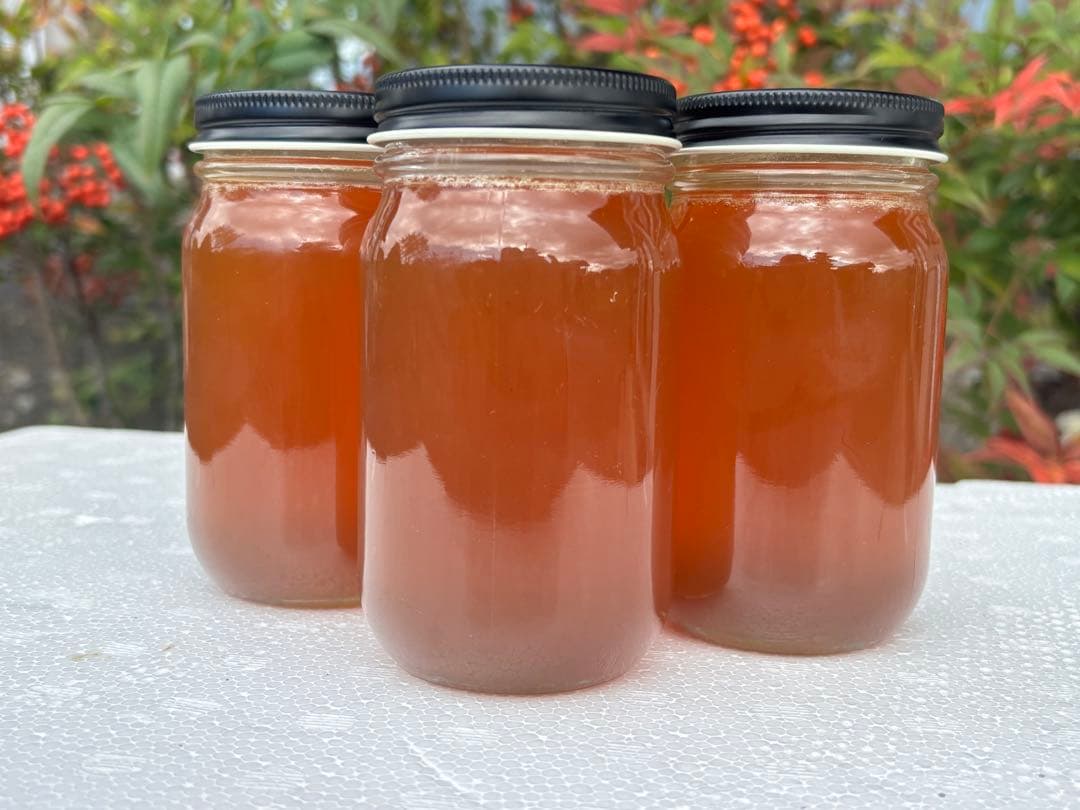 日本蜜蜂蜂蜜　純粋生ハチミツ　非加熱無加工無調整　百花蜜