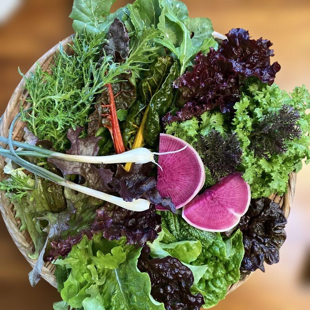 豊かな香り彩のrestaurant salad サラダ野菜詰合せ　本日発送