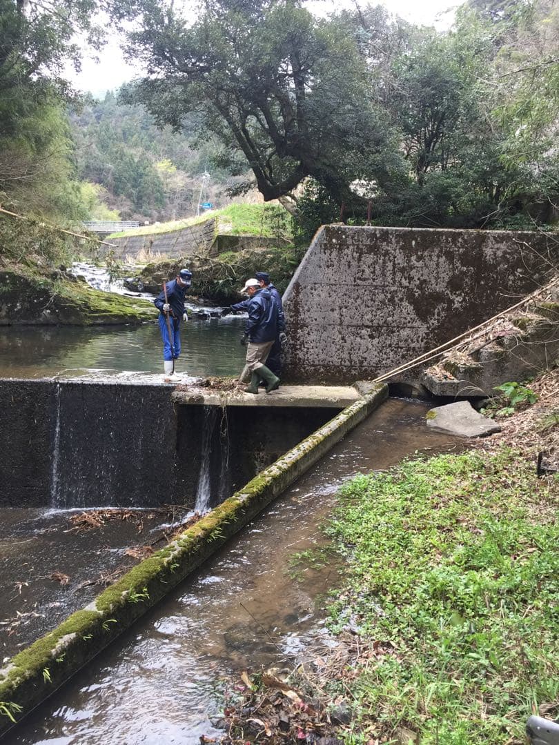 令和７年産米☆☆いのちの壱☆酵素散布米 ☆玄米 いのちの壱 １０キロ 精米無料