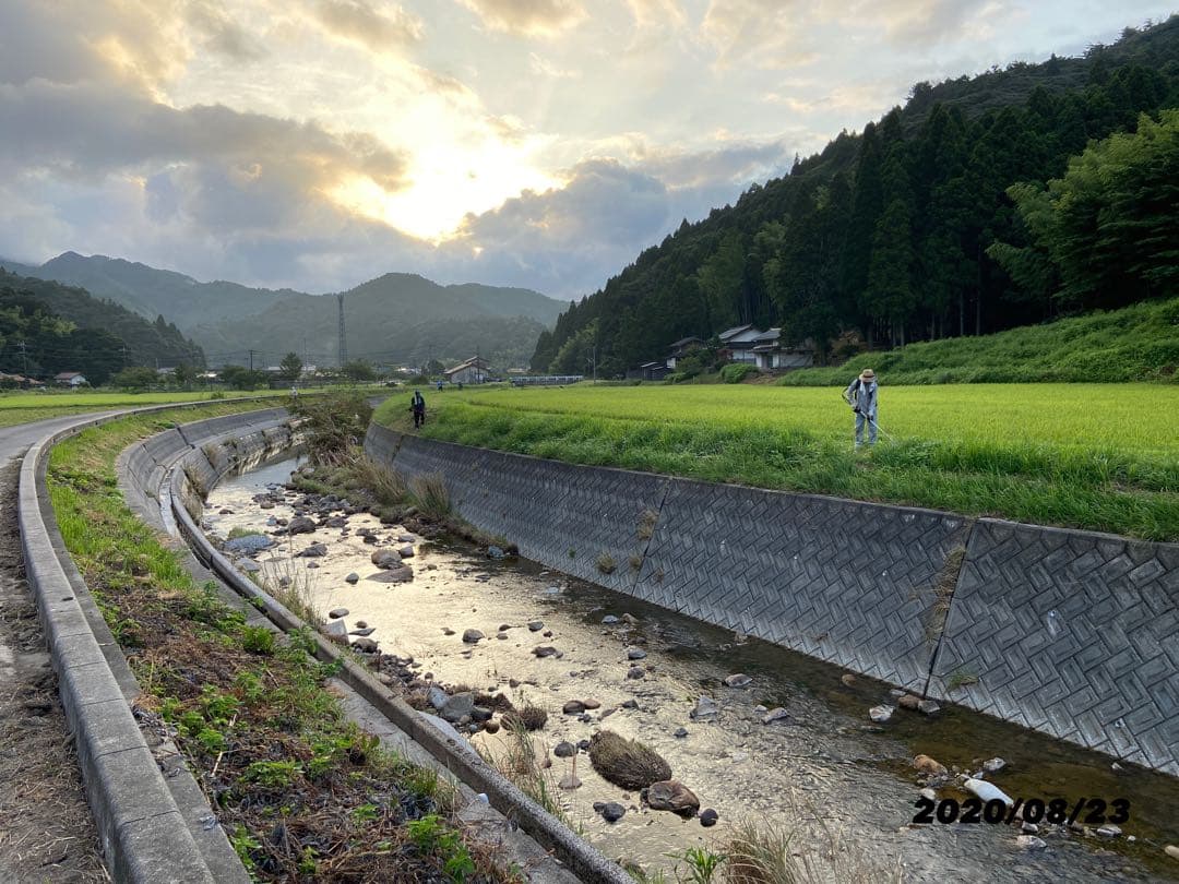 令和７年産米☆☆いのちの壱☆酵素散布米 ☆玄米 いのちの壱 １０キロ 精米無料