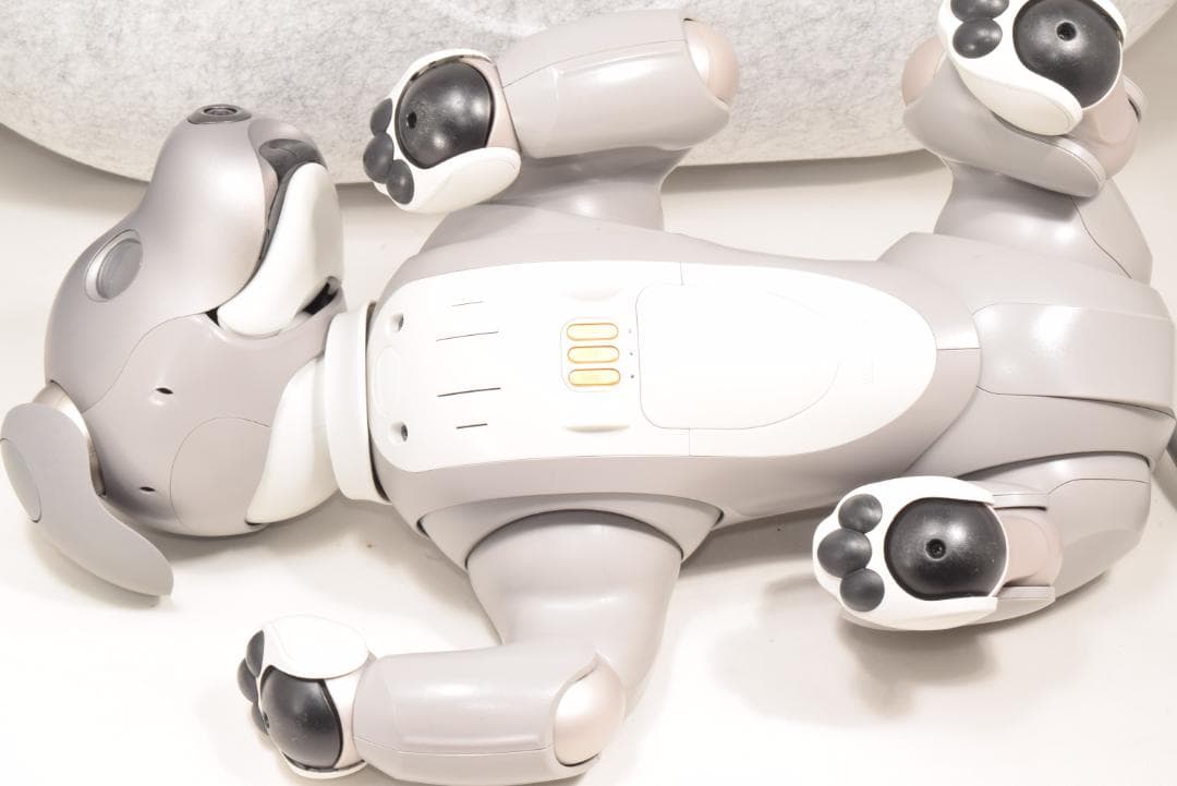 希少 ソニー SONY アイボ ERS-1000 黒ごまエディション 限定モデル