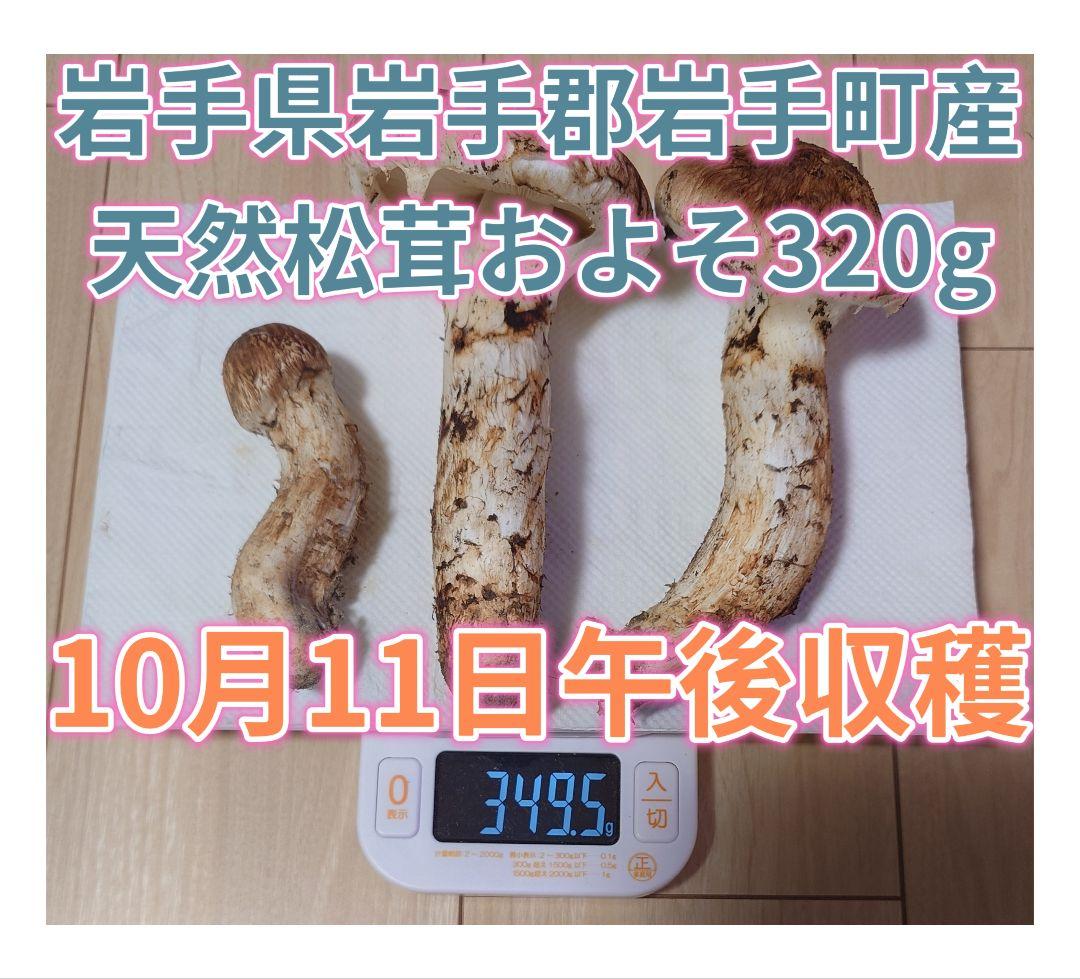 #岩手県岩手郡岩手町産天然松茸およそ320g