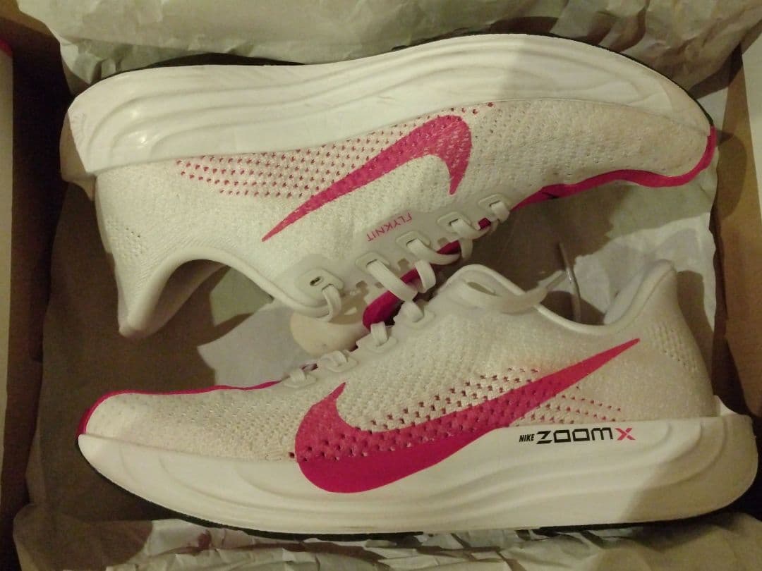 【25.5㌢】Nike ペガサスプラス