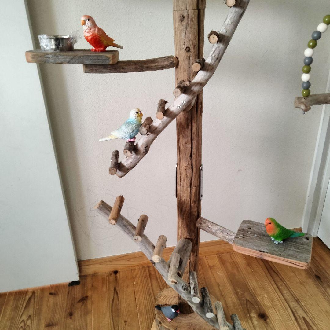 バードアスレチックジム大型 ㊵ 天然木 自然木 流木 止まり木 インコ おもちゃ