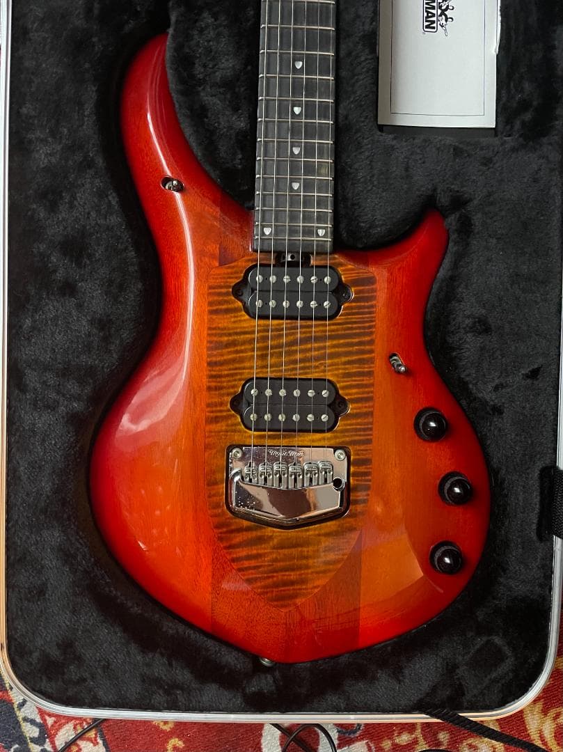 ギター AndrewD2021 Ernie Ball Jon Petrucci