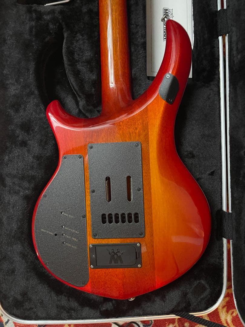 ギター AndrewD2021 Ernie Ball Jon Petrucci