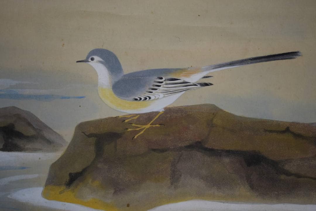 真作/竹内未明/初夏/水辺小禽図/桐共箱二重箱付/布袋屋掛軸HH-755