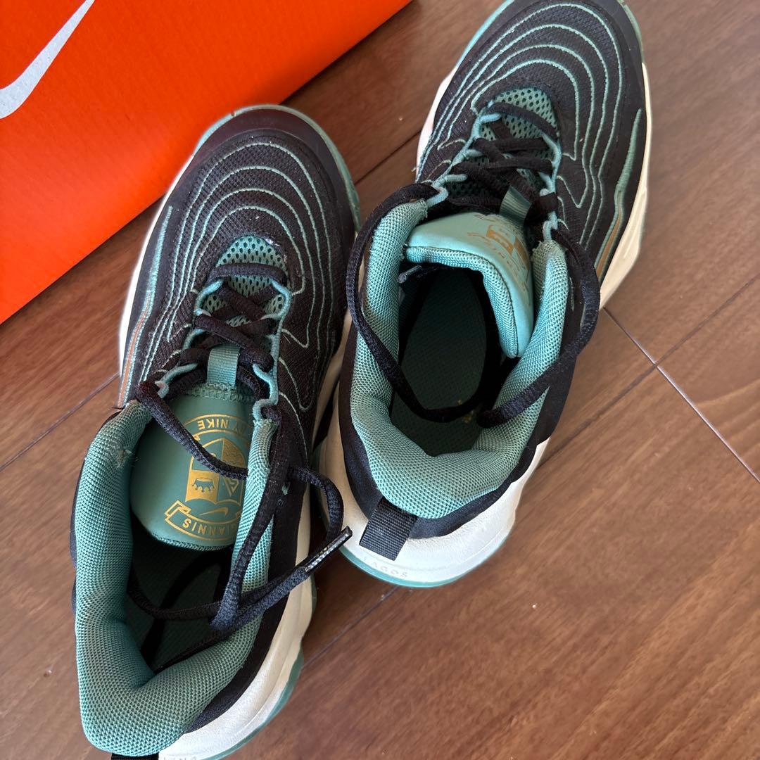 Nike バスケットシューズ　バッシュ　ブラック/グリーン　23.0