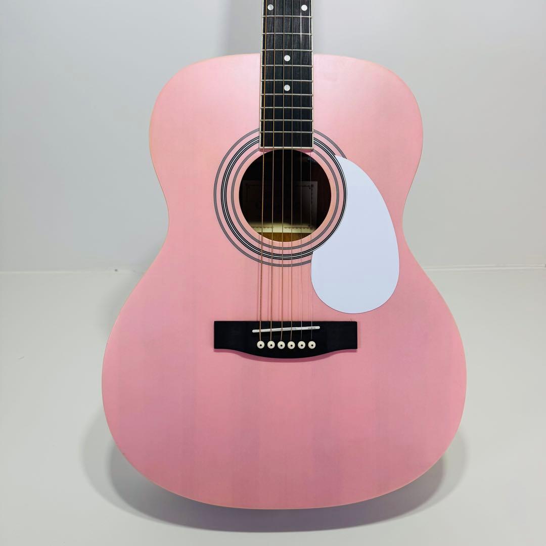 HONEY BEE アコースティックギター F-15 SKR ギター　ハニービー