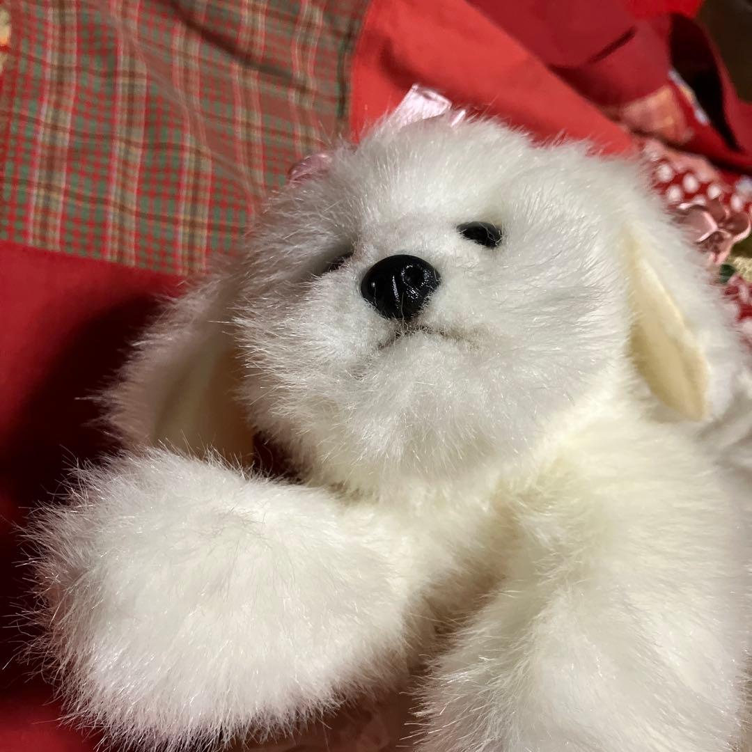 マルチーズぬいぐるみ　犬　白い犬　子犬　わんちゃん　レトロぬいぐるみ犬　リアル
