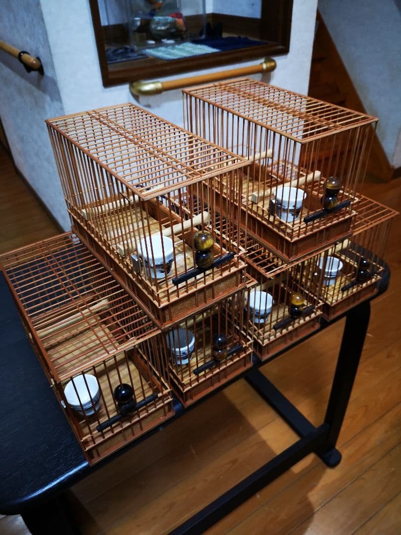 《季節限定出品》メジロ籠&寝かせ籠【最高級/優良籠】※真鍮製餌受　※限定購入特典