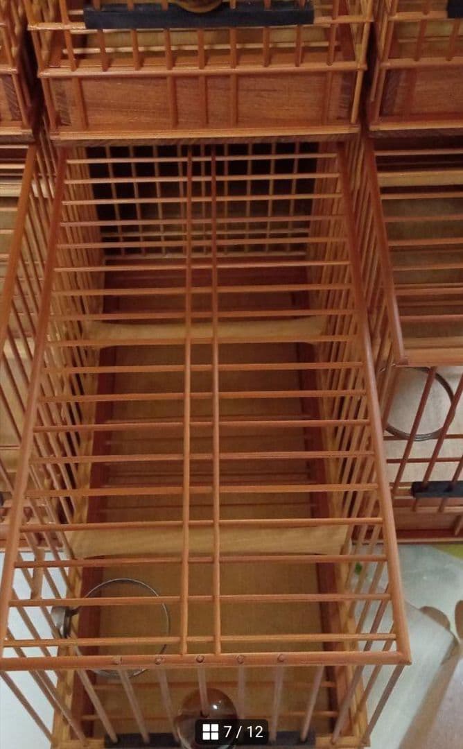 《季節限定出品》メジロ籠&寝かせ籠【最高級/優良籠】※真鍮製餌受　※限定購入特典