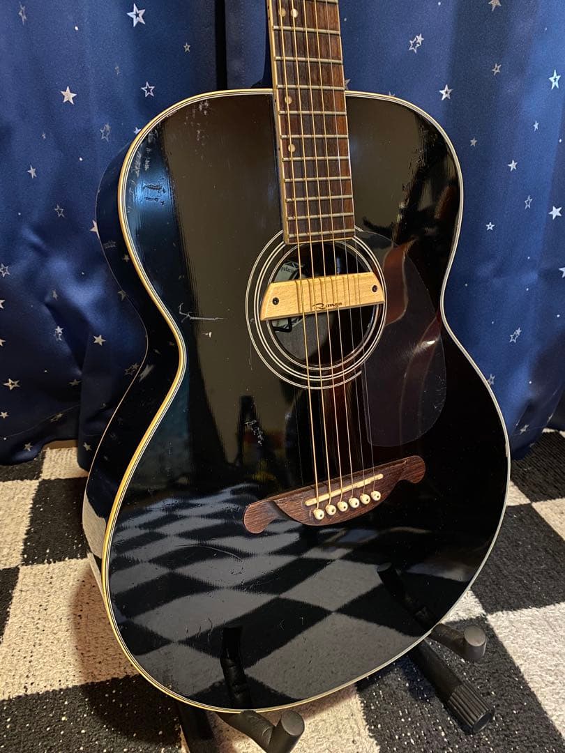 James JF350 (エレアコ仕様)