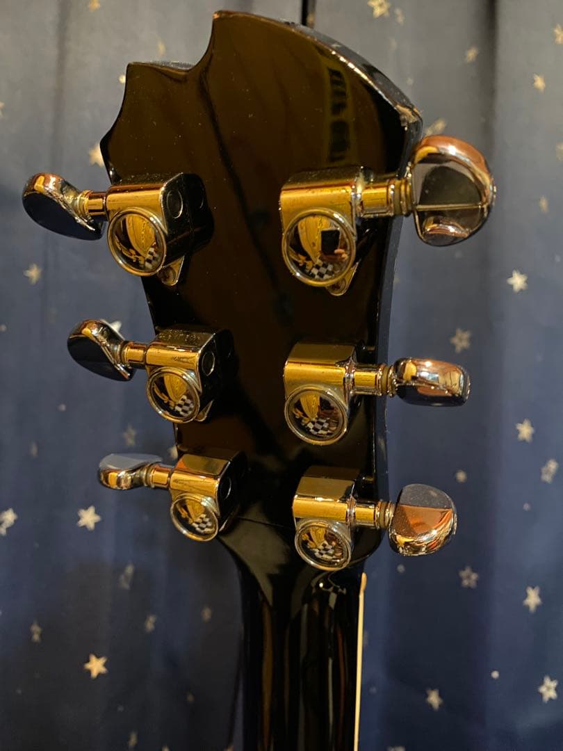 James JF350 (エレアコ仕様)