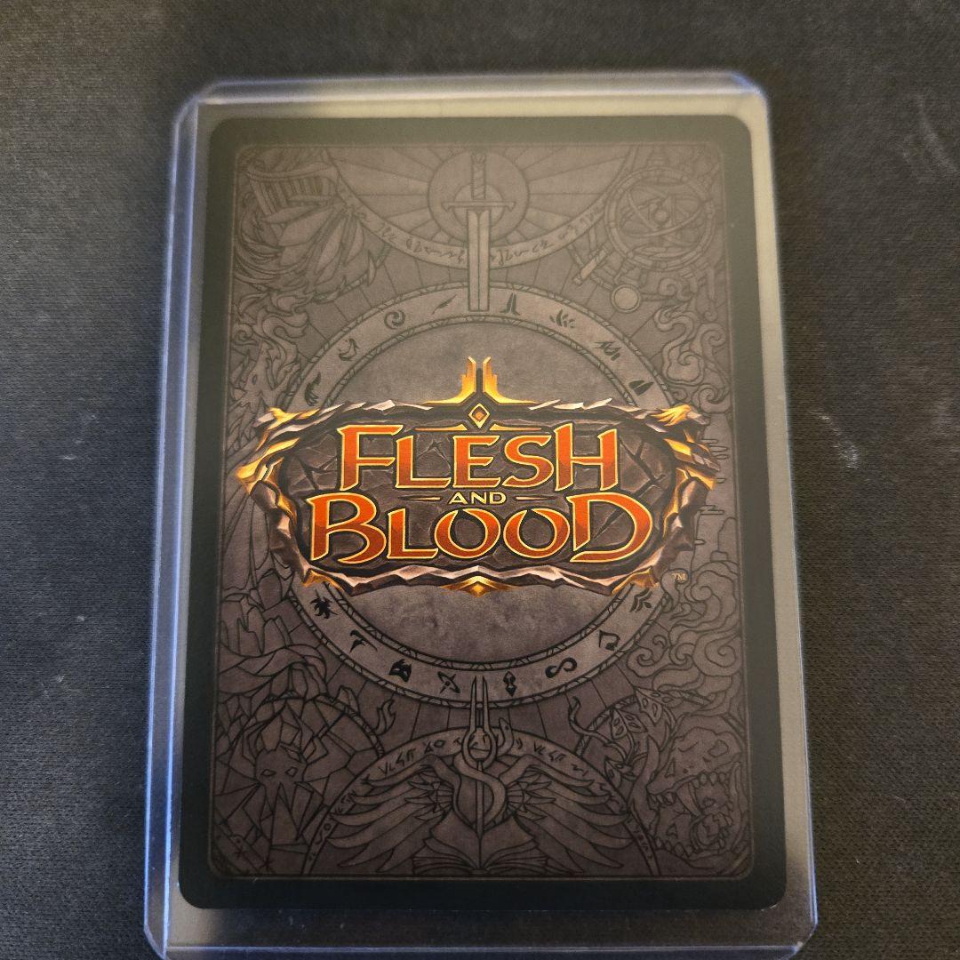 【FaB】Fyendal's Spring Tunic