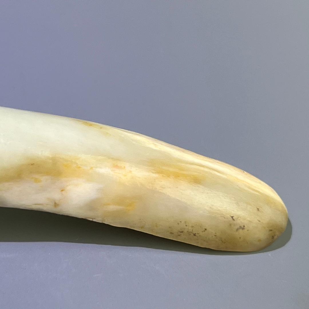 白玉龍帯鉤 清代 和田玉 古玉 古玉擺件 中国古玩 中国美術 唐物骨董 A912