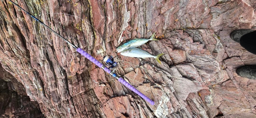 ソルティガAP-J66HS