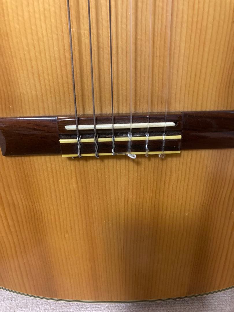 Aria アリア アコースティックエレクトリックギター