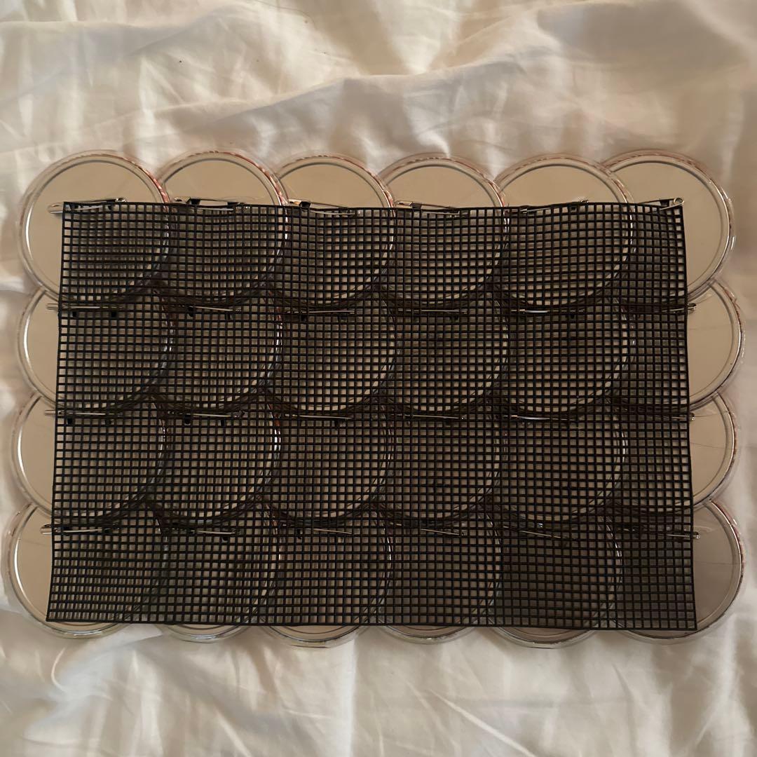 ヒプマイ 白膠木簓 EW03 缶バッジ