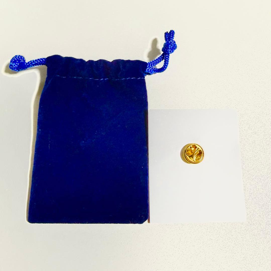 大阪万博2025 イタリア VIPスタッフ　ピンバッジ（専用ポーチ付き・非売品）