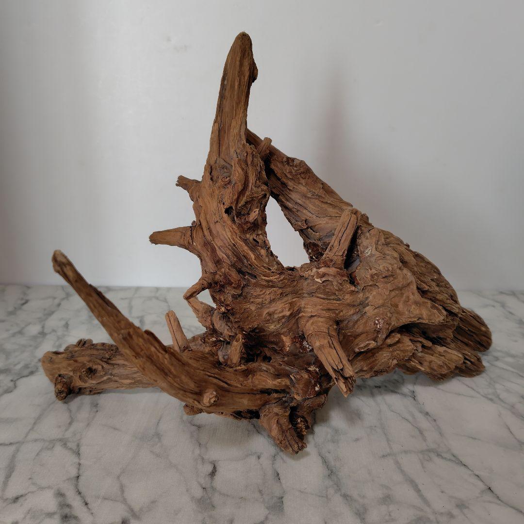 アク抜き済み流木【41】