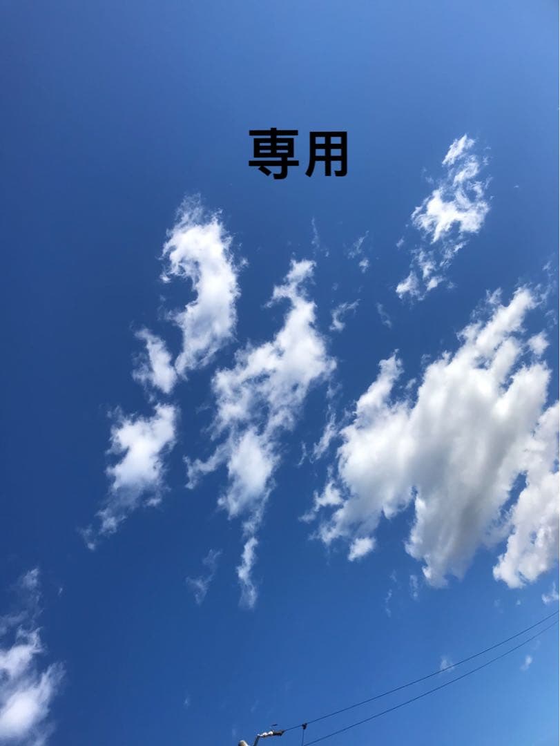 黒竹茶筅４本(茶杓1本おまけ)、黒竹茶杓3本、茶筅立４本(薄緑３、ピンク1)