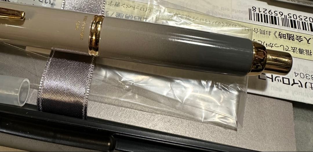 【ナガサワ限定】海岸ストーングレー 万年筆 パイロット キャップレスデシモ FM