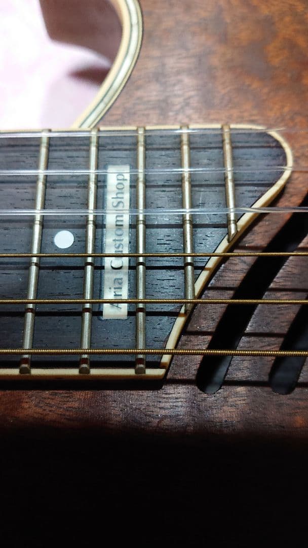 ARIA PE-MID-II エレガットギター ギターシンセサイザー