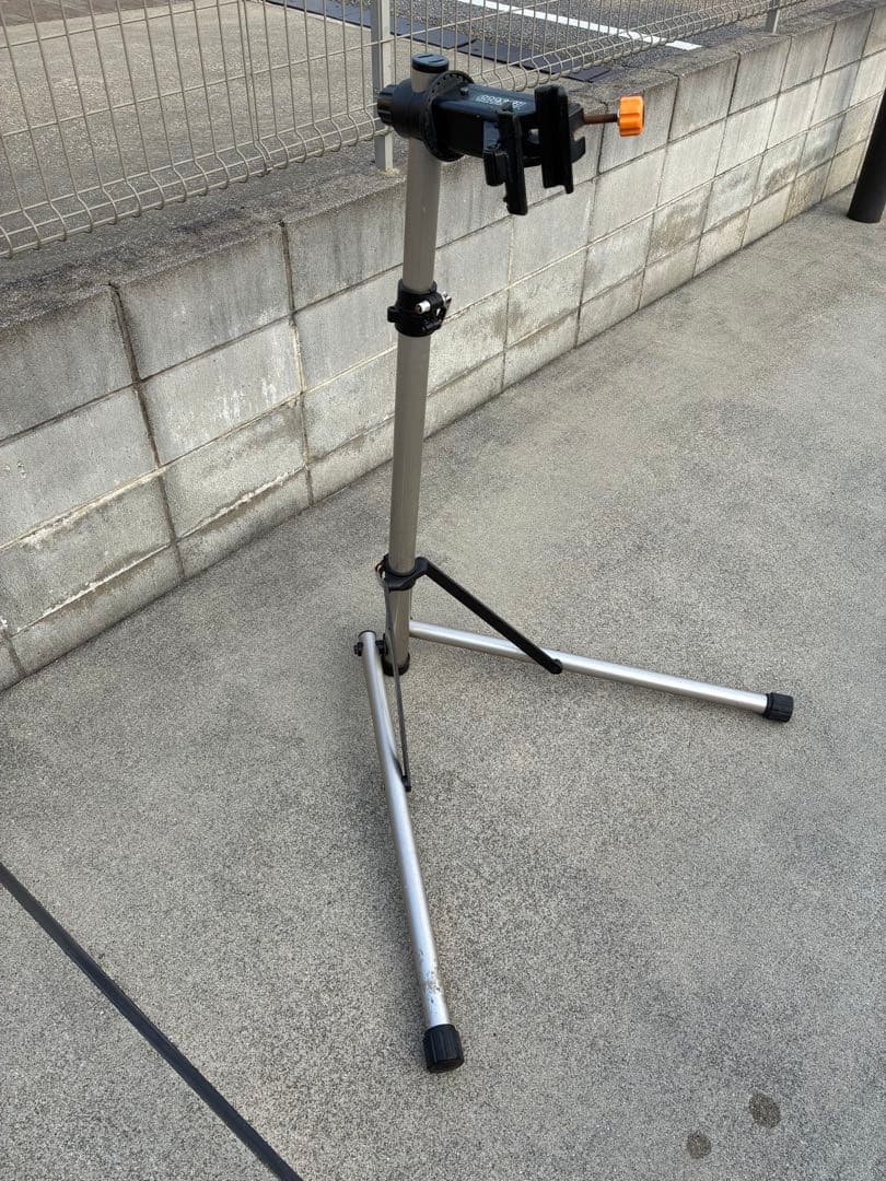 santacruz サンタクルズ chameleon カメレオン Mサイズ