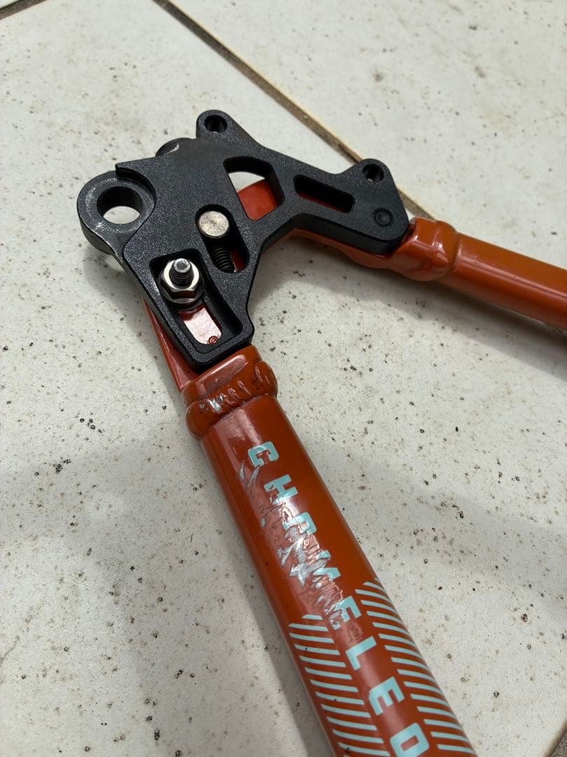 santacruz サンタクルズ chameleon カメレオン Mサイズ