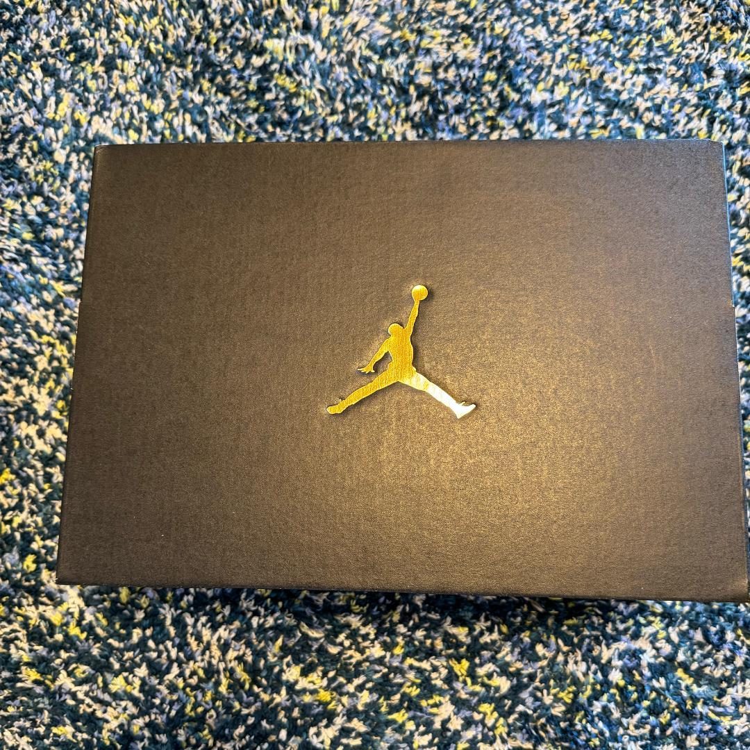 【新品レア】ナイキ ジョーダン1 野球用スパイク 24cm