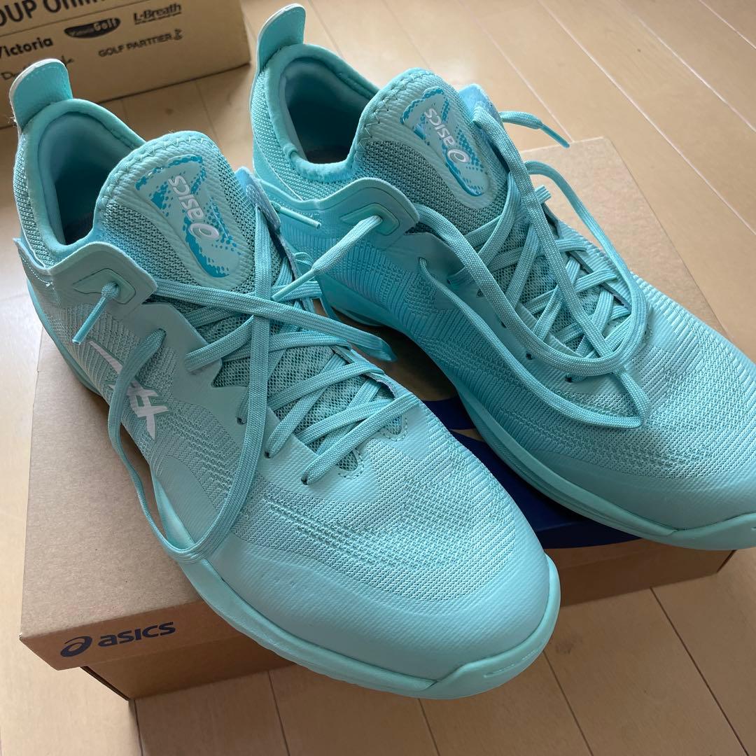 ASICS　GLIDE NOVA FF3 30cm