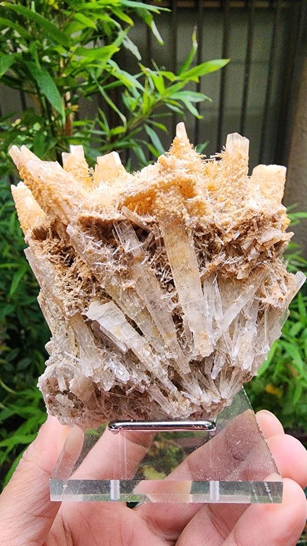 オーストラリア産の黄色いアラゴナイト