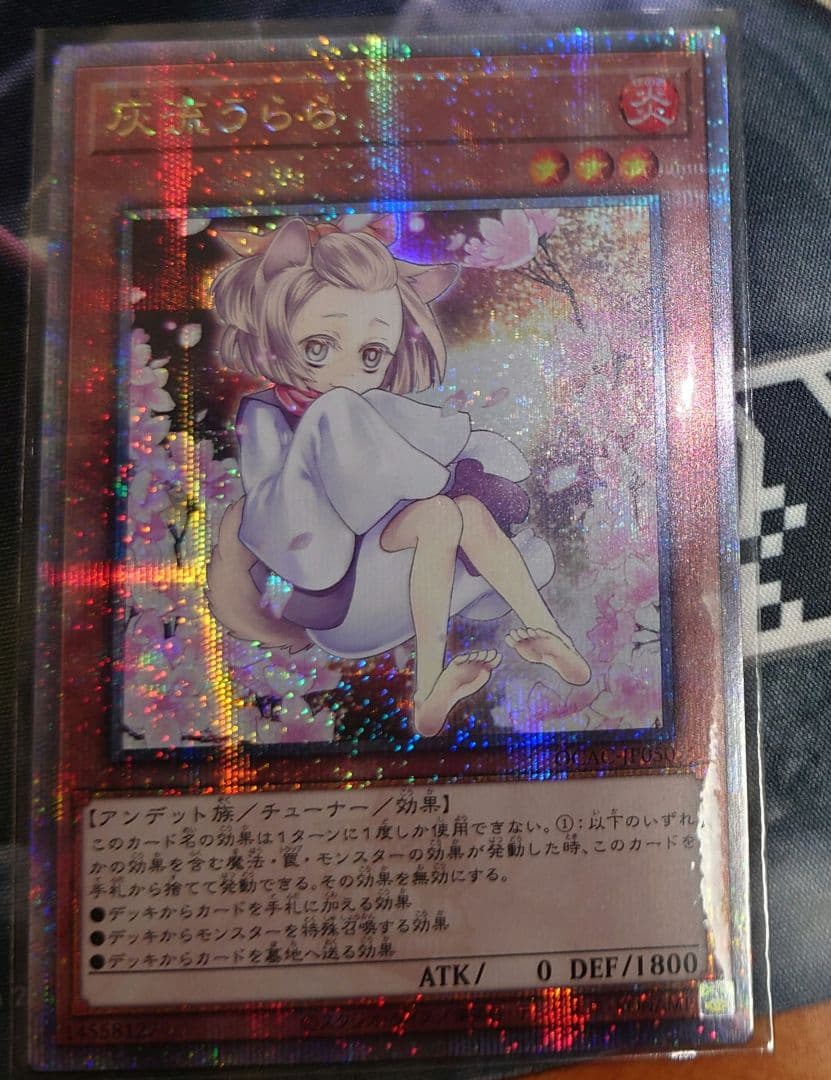 灰流うらら　はるうらら　イラスト違い　25th SE　クオシク　アーコレ　1枚