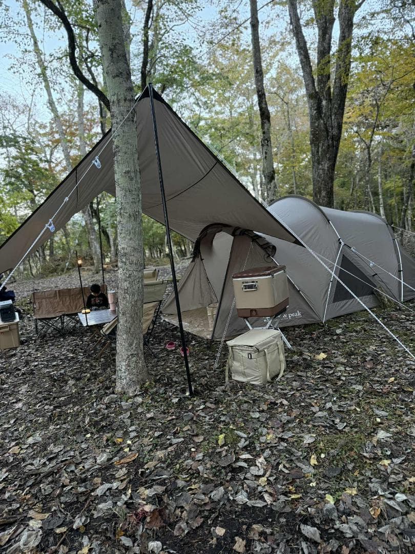 ランドネスト M テントータープーマットのセット