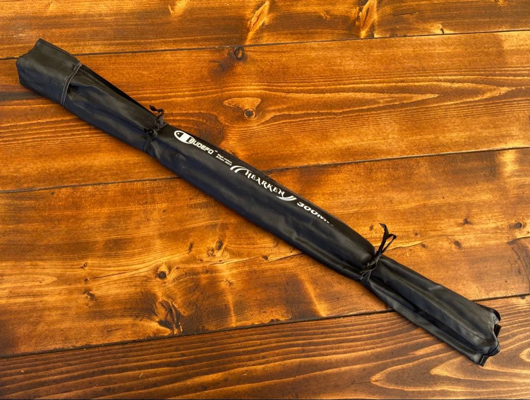 超軽量　カーボンロッド　3m 10ft ベイトロッド　ショアジギング　サーフ